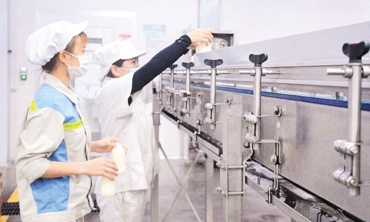 Kiến tạo không gian cho doanh nghiệp đổi mới sáng tạo