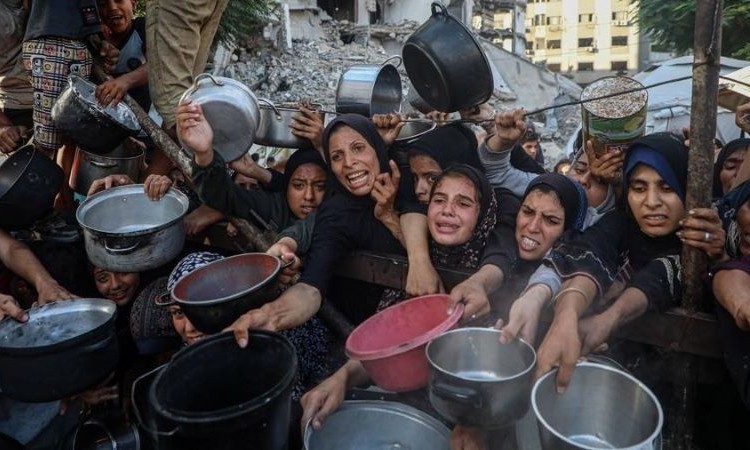 Tình hình thảm khốc tại Gaza: Phải hành động khẩn cấp