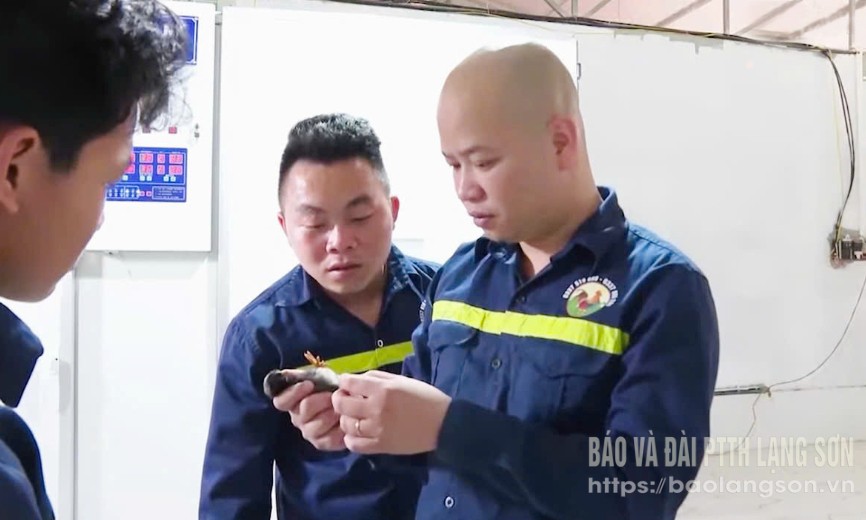 Tiếp sức ước mơ nâng tầm nông sản địa phương
