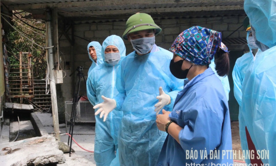Kiểm tra công tác phòng, chống bệnh dịch tả lợn châu Phi
