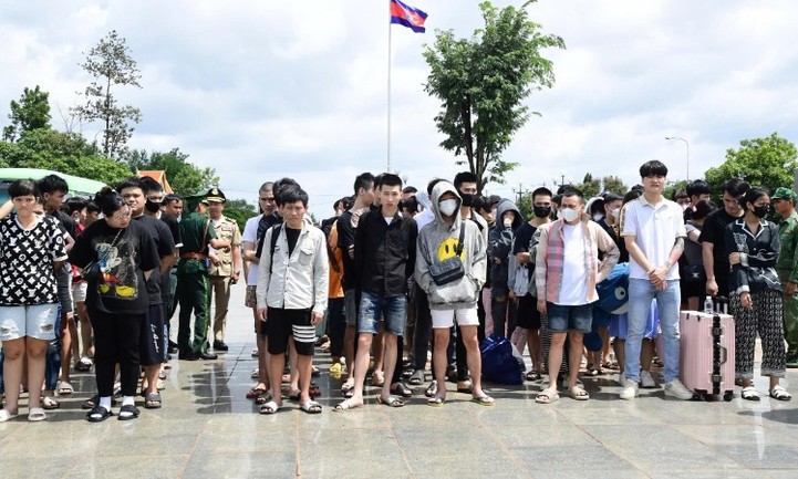 Tiếp nhận 85 công dân Việt Nam liên quan đến lừa đảo trực tuyến