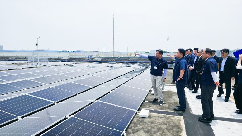 Các đại biểu tham quan hệ thống điện mặt trời áp mái tại SEV.