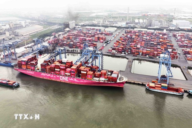 Hoạt động tại Cảng Quốc tế Tân Cảng-Cái Mép ở phường Tân Phước, Thị xã Phú Mỹ, tỉnh Bà Rịa-Vũng Tàu. (Ảnh: Vũ Sinh/TTXVN)