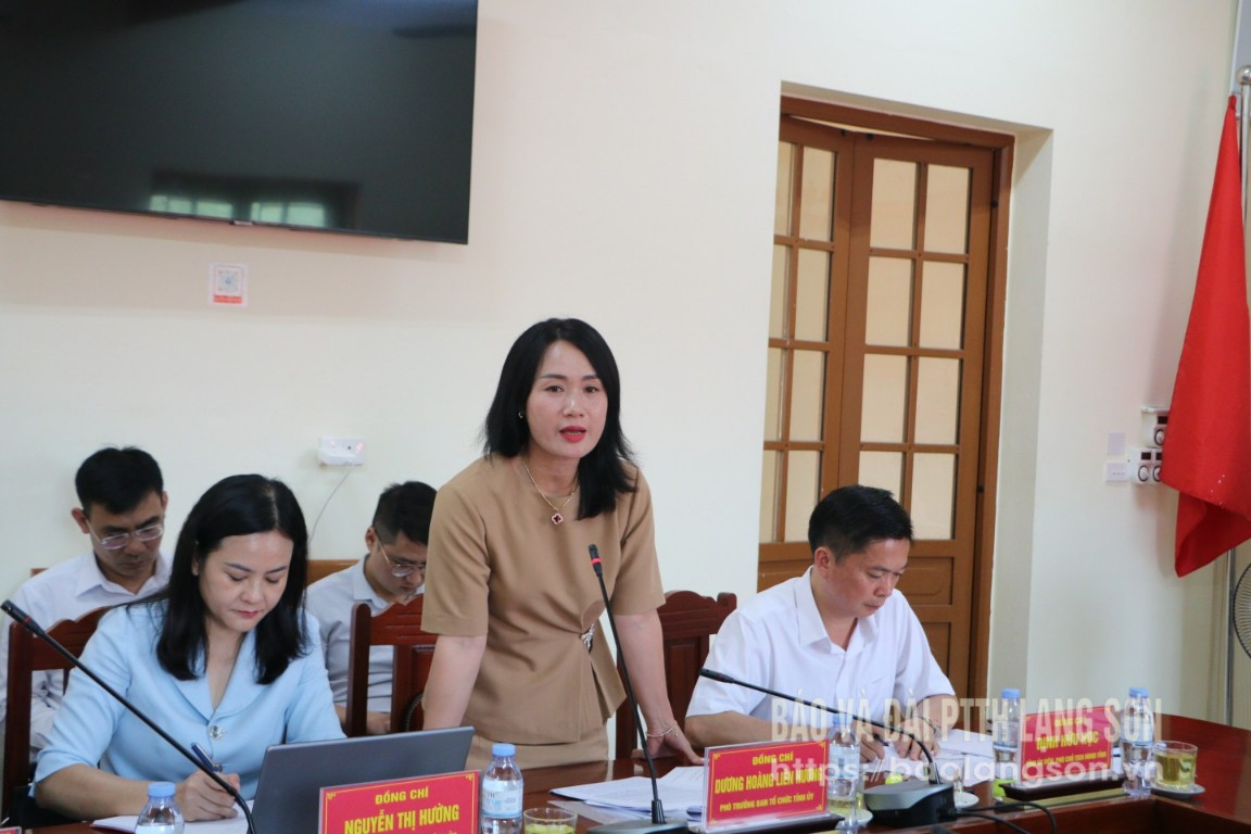 Lãnh đạo Ban Tổ chức Tỉnh ủy phát biểu tại buổi làm việc