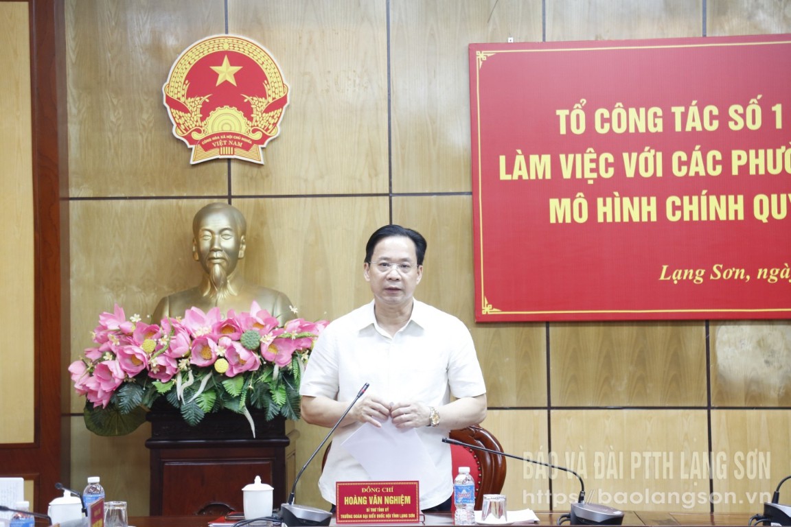 Đồng chí Hoàng Văn Nghiệm, Bí thư Tỉnh ủy, Trưởng Đoàn đại biểu Quốc hội tỉnh phát biểu kết luận buổi làm việc
