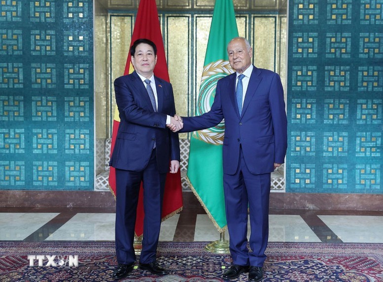 Tổng Thư ký Liên đoàn Arab Ahmed Aboul Gheit đón Chủ tịch nước Lương Cường - Ảnh: TTXVN