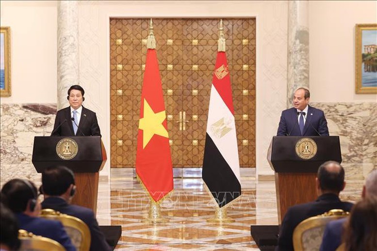Chủ tịch nước Lương Cường và Tổng thống Ai Cập Abdel Fattah El-Sisi gặp gỡ báo chí, thông tin về kết quả hội đàm. Ảnh: TTXVN