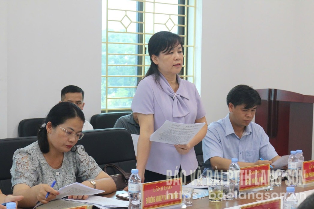 Lãnh đạo Sở Nội vụ phát biểu các nội dung liên quan tại buổi làm việc