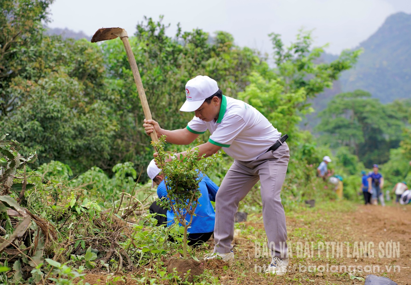 Các thành viên trong đoàn trồng cây tại khu dân cư Lân Nóng