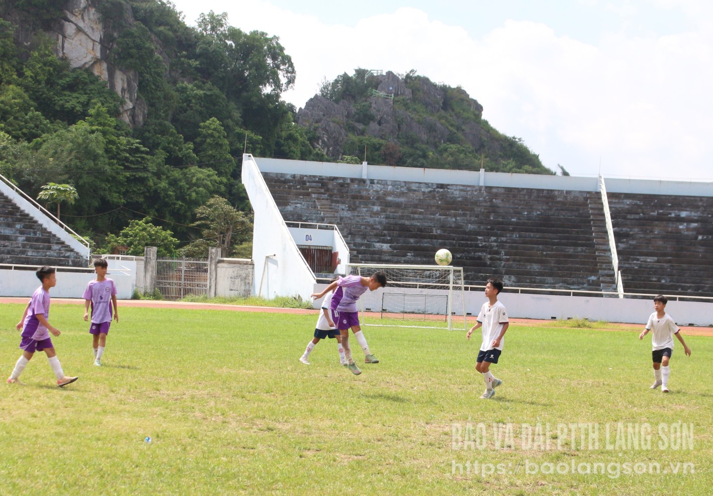 img,1955,10393109.jpg
