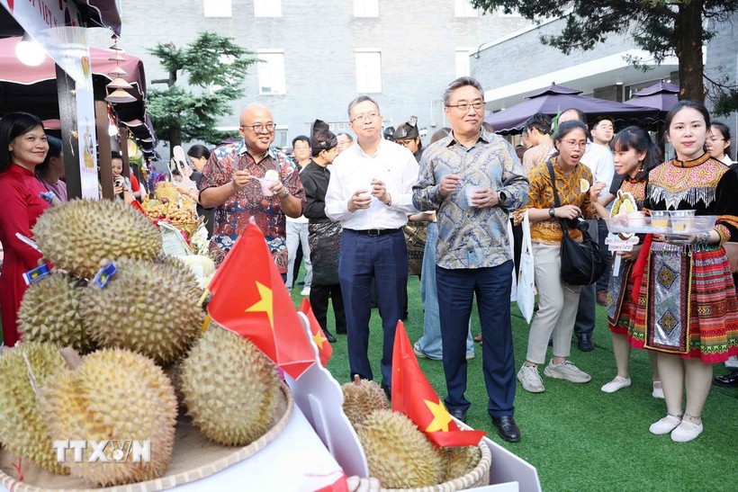 Đại sứ, đại diện các nước ASEAN tại Bắc Kinh tham quan gian hàng của Việt Nam. (Ảnh: Công Tuyên/TTXVN)