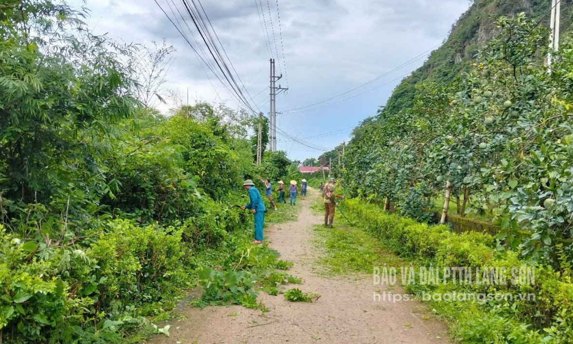 Người dân thôn Quán Thanh, xã Chi Lăng tham gia phát dọn, vệ sinh đường làng, ngõ xóm