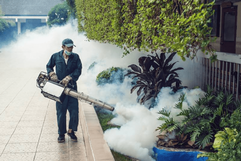 Phun diệt muỗi để chủ động phòng bệnh