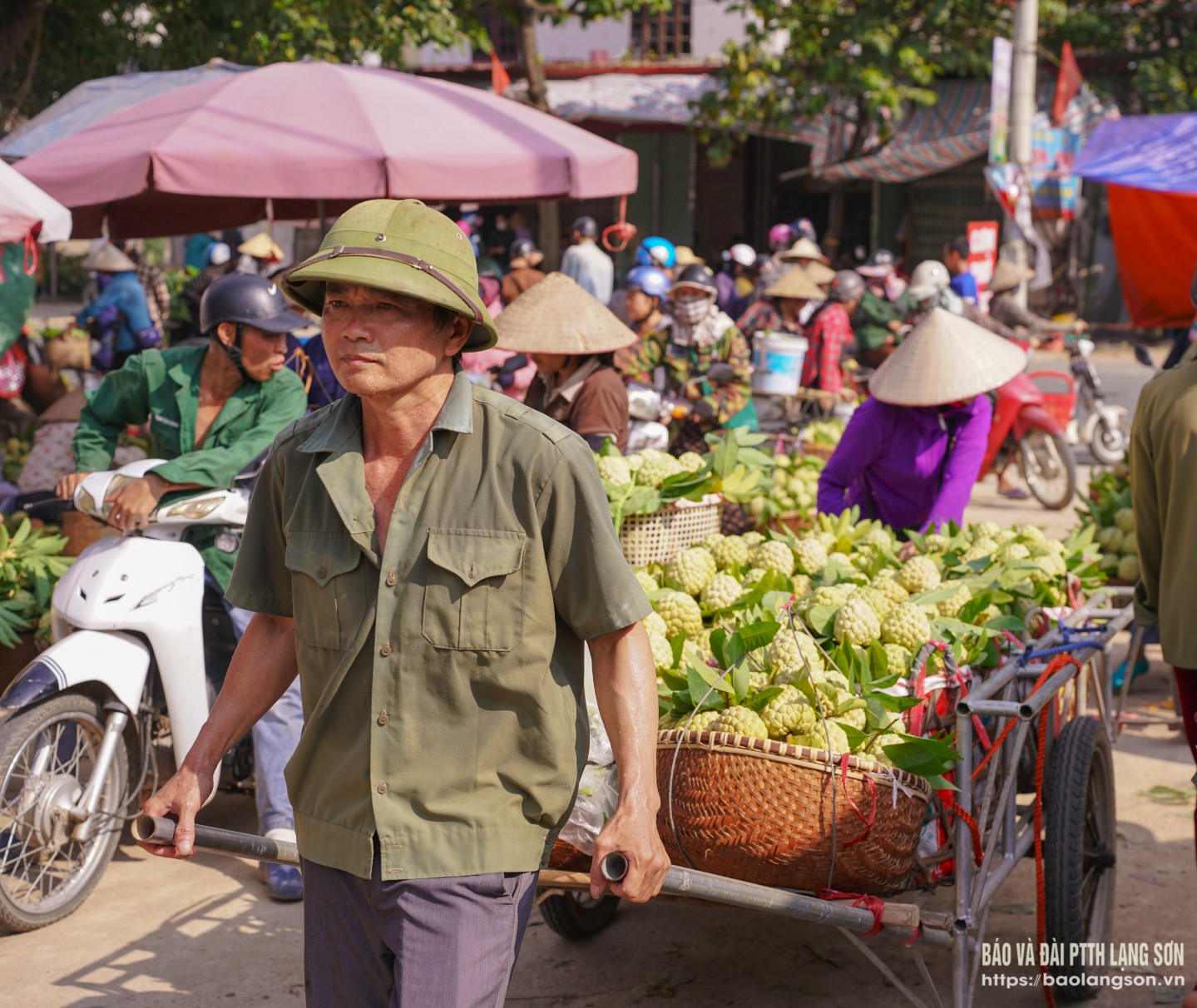 Bên cạnh những chuyến xe máy, từng gánh na, xe kéo cùng mọi phương tiện đều được huy động để đưa na ra chợ bán, mang theo thành quả của bao ngày chăm sóc