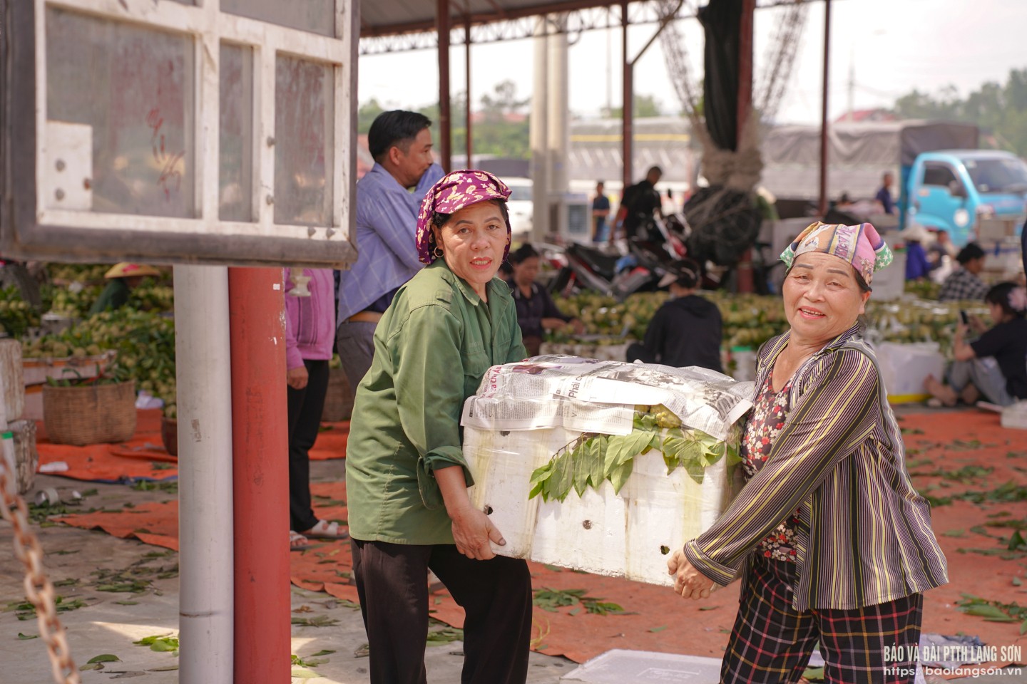 Những thùng xốp đựng na đã đóng gói hoàn chỉnh đang được chuyển nhanh ra xe, sẵn sàng đưa đi tiêu thụ