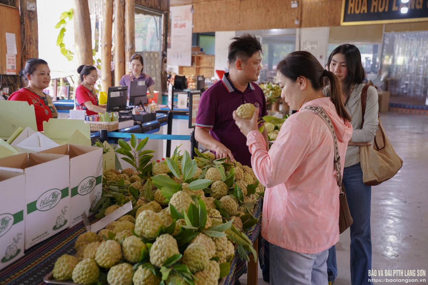 Tại Trạm dừng nghỉ Hoa Hồi, nhiều du khách tranh thủ chọn mua na Lạng Sơn làm quà biếu gia đình, bạn bè