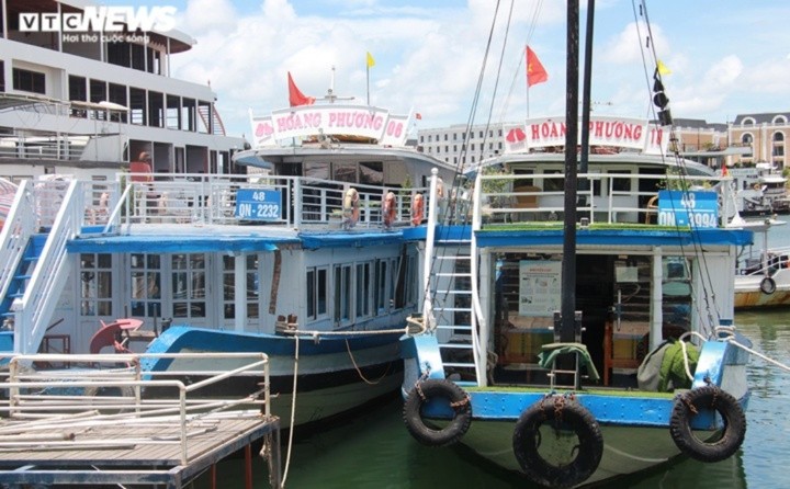 Bộ Xây dựng yêu cầu kiểm soát chặt việc ra khơi của tàu đánh cá, tàu du lịch.