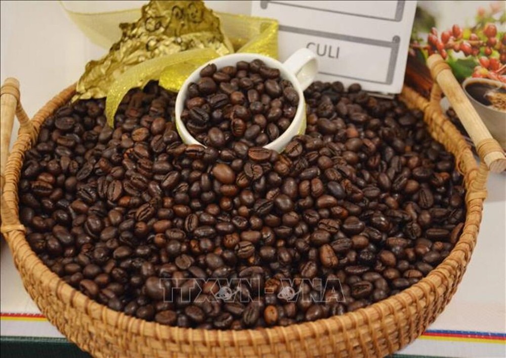 Cà-phê Việt Nam chất lượng cao gắn với tăng trưởng xanh và phát triển bền vững. (Ảnh: HOÀI THU/TTXVN)