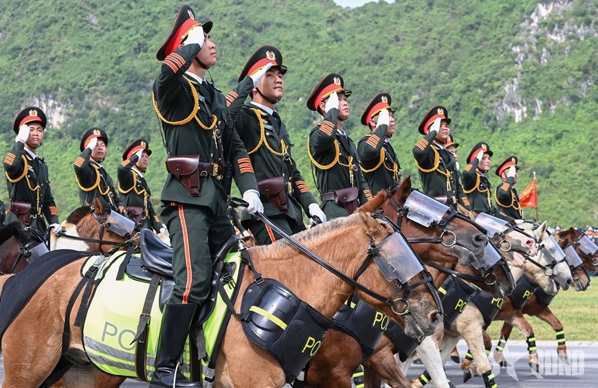  Khối cảnh sát cơ động kỵ binh.