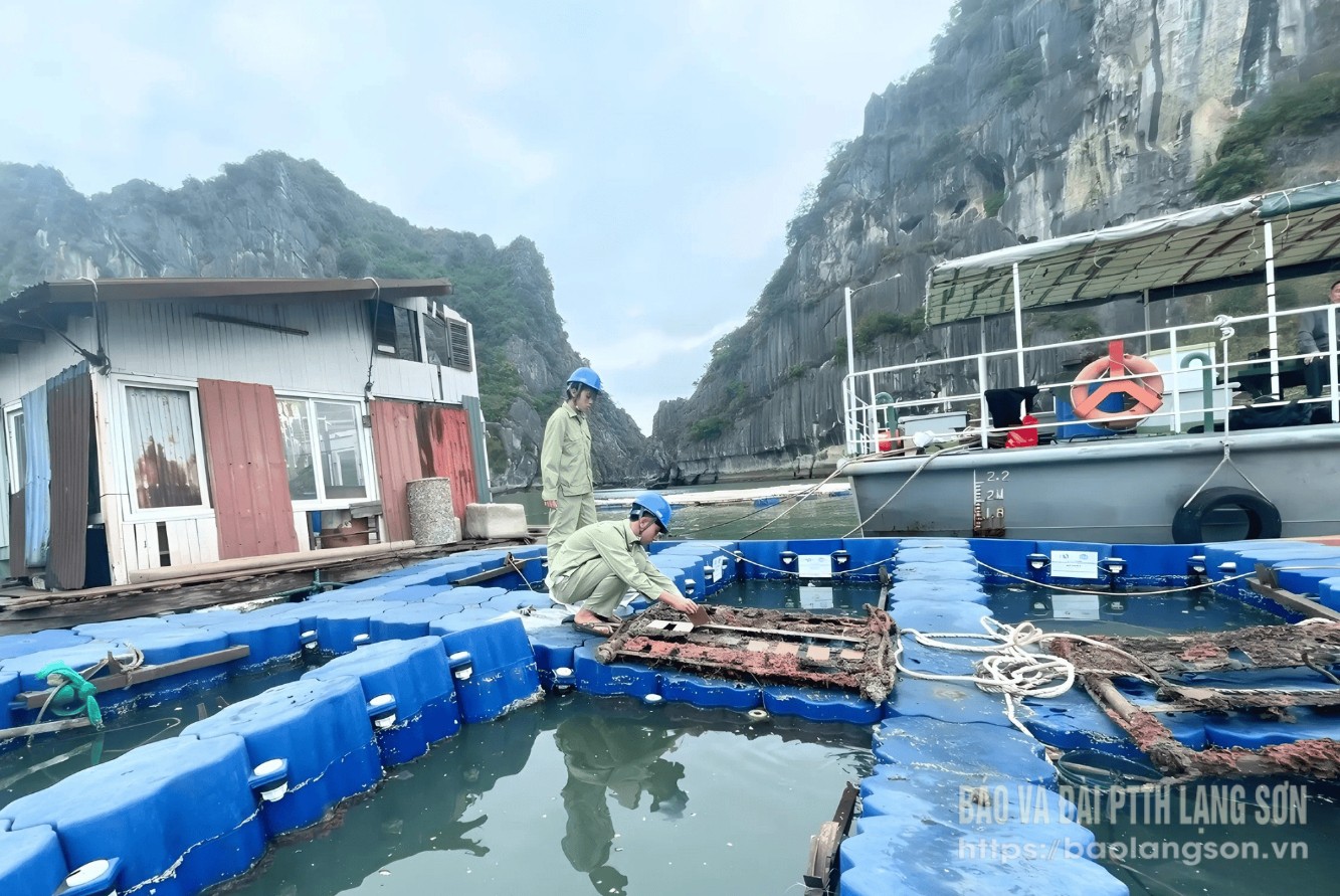 Nhóm học sinh Trường THPT chuyên Chu Văn An tiến hành thử nghiệm mẫu sơn kháng vi khuẩn biển và chống sinh vật bám trên nền thép tại Vụng Oản, vịnh Hạ Long, tỉnh Quảng Ninh