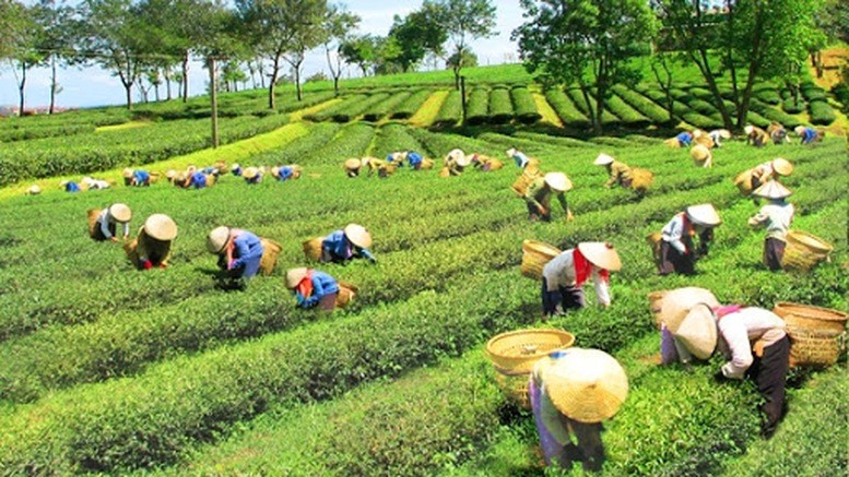 Tạo điều kiện để đồng bào dân tộc thiểu số vươn lên làm giàu bền vững.