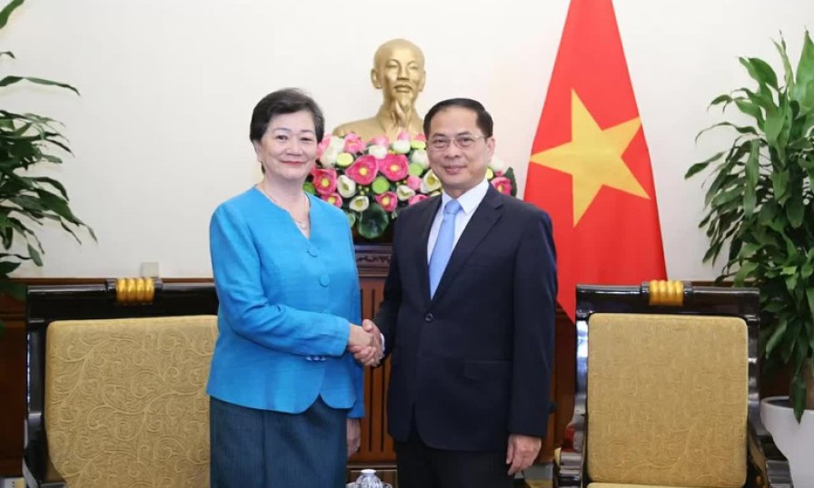Phó Thủ tướng, Bộ trưởng Ngoại giao Bùi Thanh Sơn tiếp Đại sứ Campuchia Chea Kimtha