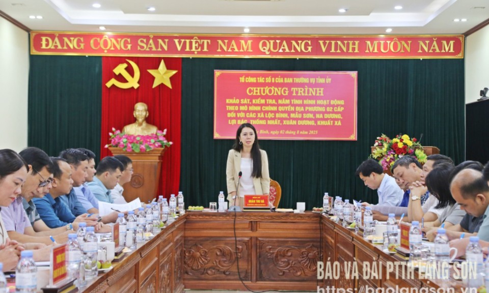 Khảo sát, kiểm tra tình hình hoạt động chính quyền cấp xã