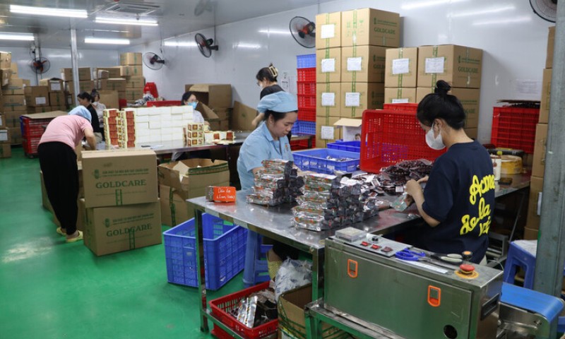 Triệt phá đường dây thực phẩm chức năng giả quy mô lớn tại Quảng Ninh