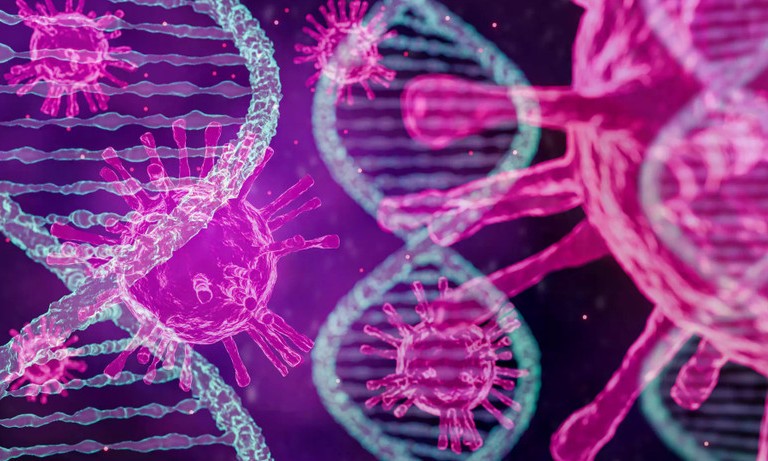 Phát hiện mới về virus bạch cầu và tiềm năng điều trị HIV