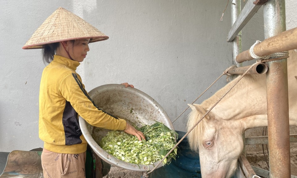“Đòn bẩy” để Thống Nhất vươn lên