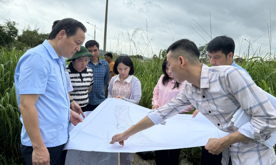 Đông Kinh đẩy nhanh giải phóng mặt bằng