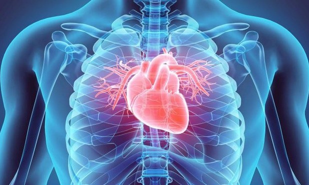 Hiểu đúng về đột tử và đột quỵ để tránh hậu quả nghiêm trọng