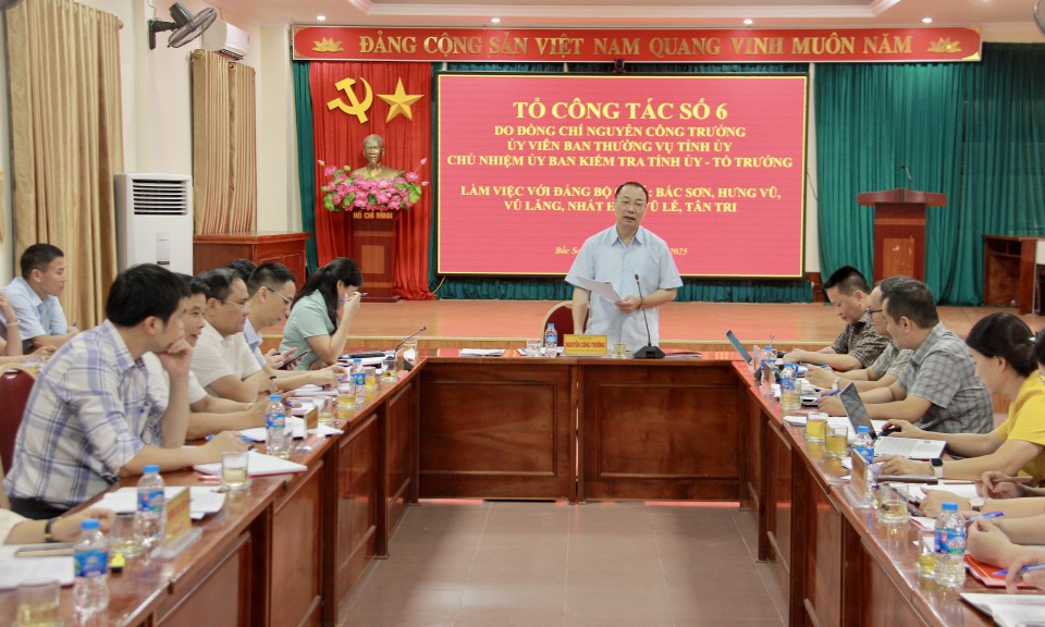 Tổ công tác số 6 khảo sát, kiểm tra hoạt động chính quyền cấp xã