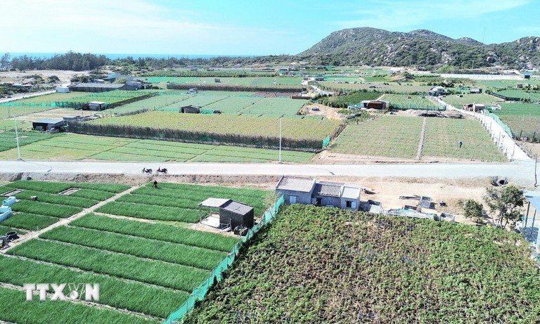 Thủ tướng Phạm Minh Chính làm Trưởng Ban Chỉ đạo xây dựng nhà máy điện hạt nhân