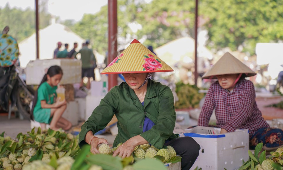 Na Lạng Sơn v&agrave;o vụ
