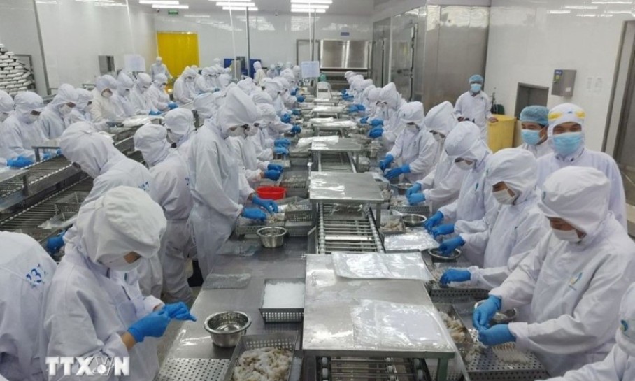 东盟与印度共商贸易协定升级 携手应对新形势