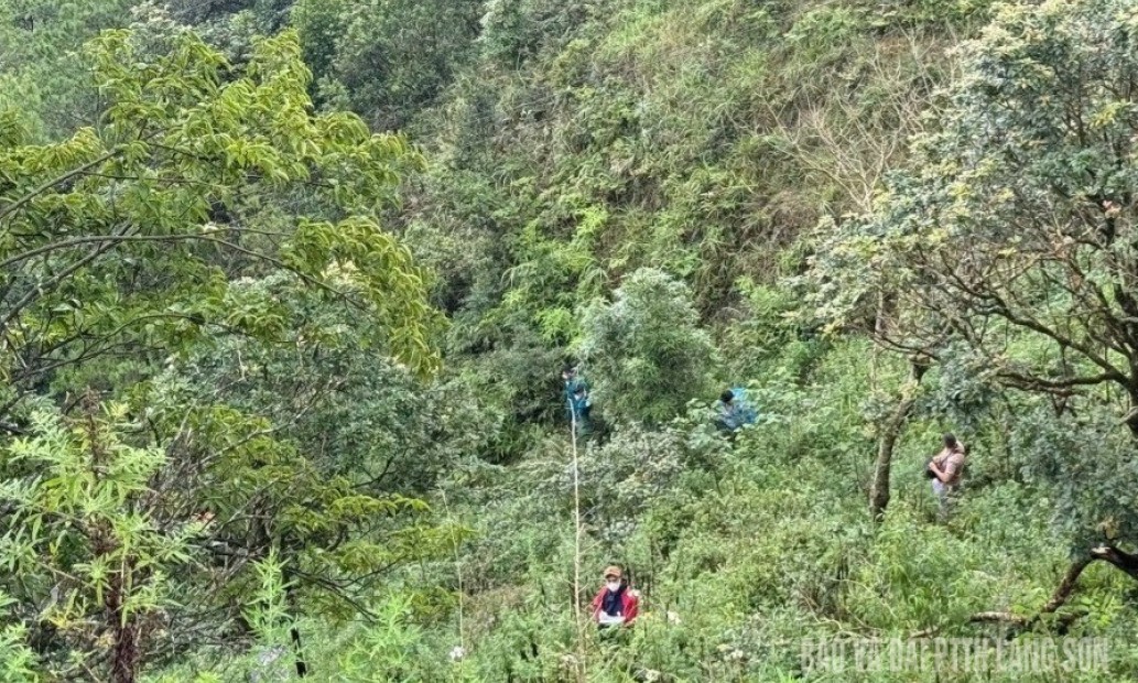Ph&aacute;t hiện &ocirc; t&ocirc; biến dạng dưới vực c&ugrave;ng thi thể đ&atilde; ph&acirc;n hủy ở Mẫu Sơn