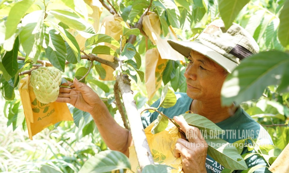 Bước tiến n&ocirc;ng th&ocirc;n mới