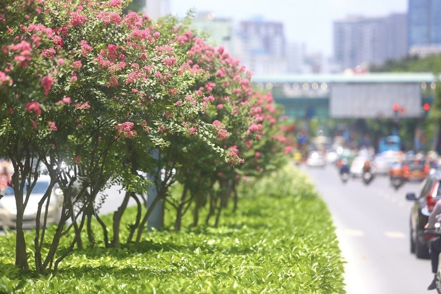Bão Bualoi Đổ Bộ Nguy Cơ Thiên Tai Cao Trên Diện Rộng