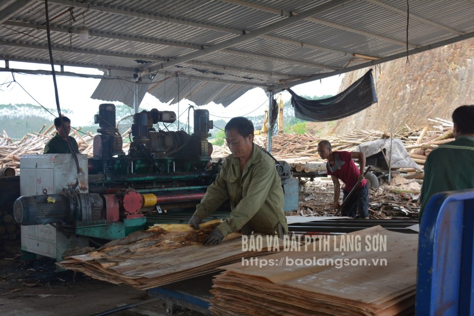 Hoạt động sản xuất gỗ bóc tại xã Tuấn Sơn