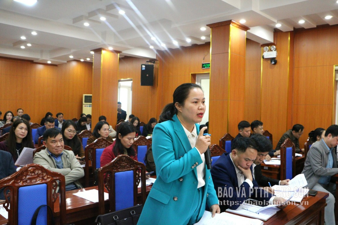 Đại biểu đóng góp ý kiến về cơ cấu, số lượng đại biểu Quốc hội khóa XVI