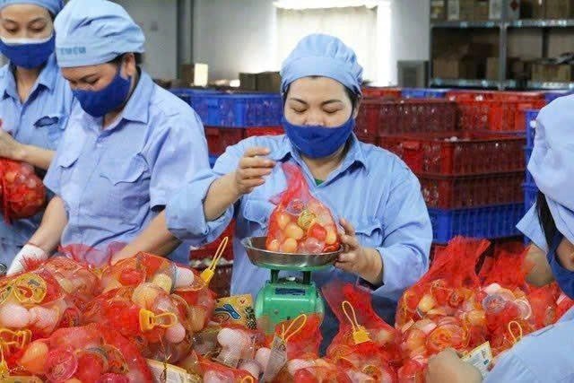 Workers at Vietfoods Factory, Hapro Industrial Park, Ha Noi. (Photo: NDO)