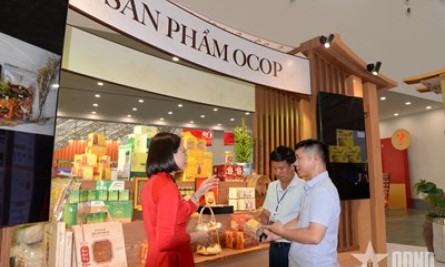 Ninh B&igrave;nh vững bước tr&ecirc;n h&agrave;nh tr&igrave;nh x&acirc;y dựng n&ocirc;ng th&ocirc;n mới