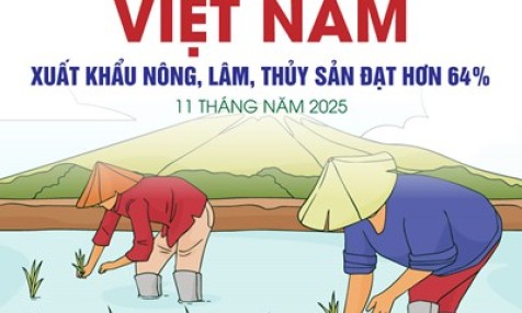 Xuất khẩu n&ocirc;ng, l&acirc;m, thủy sản đạt hơn 64 tỷ USD