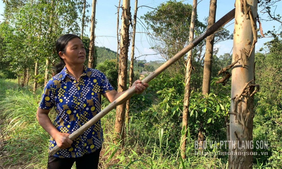 Tho&aacute;t ngh&egrave;o nhờ nghị lực