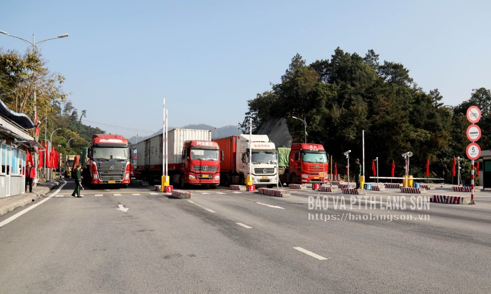 Lợi cho doanh nghiệp xuất nhập khẩu