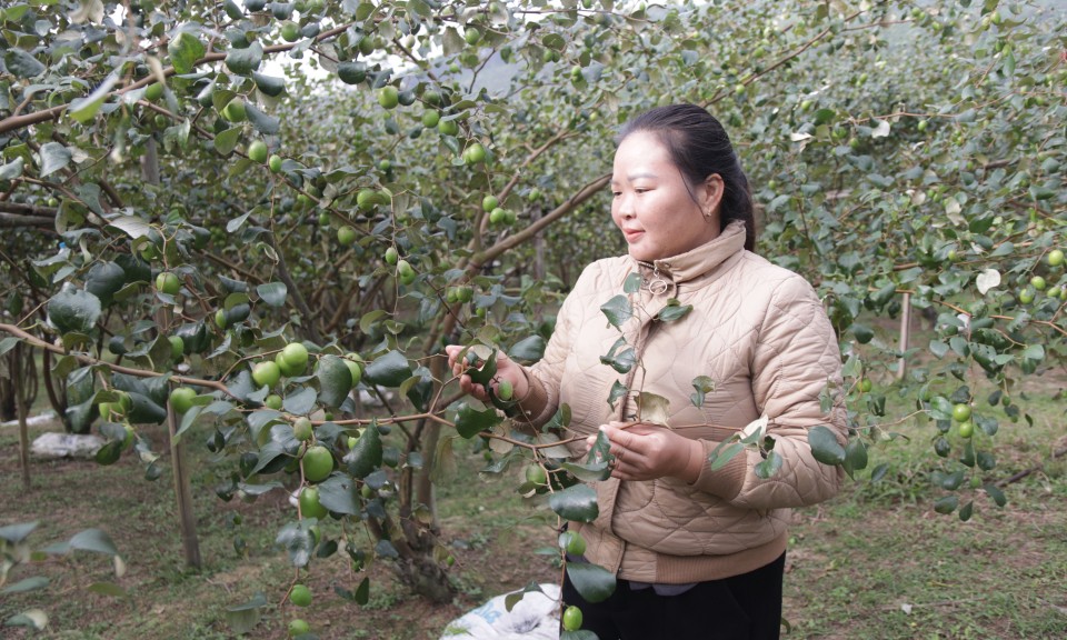 Xu&acirc;n Dương vượt kh&oacute;