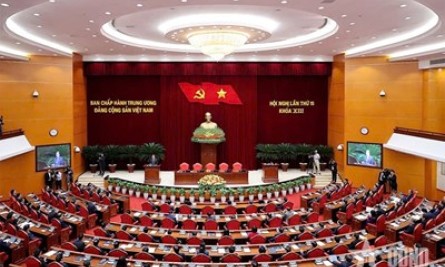 Tin tưởng và kỳ vọng
