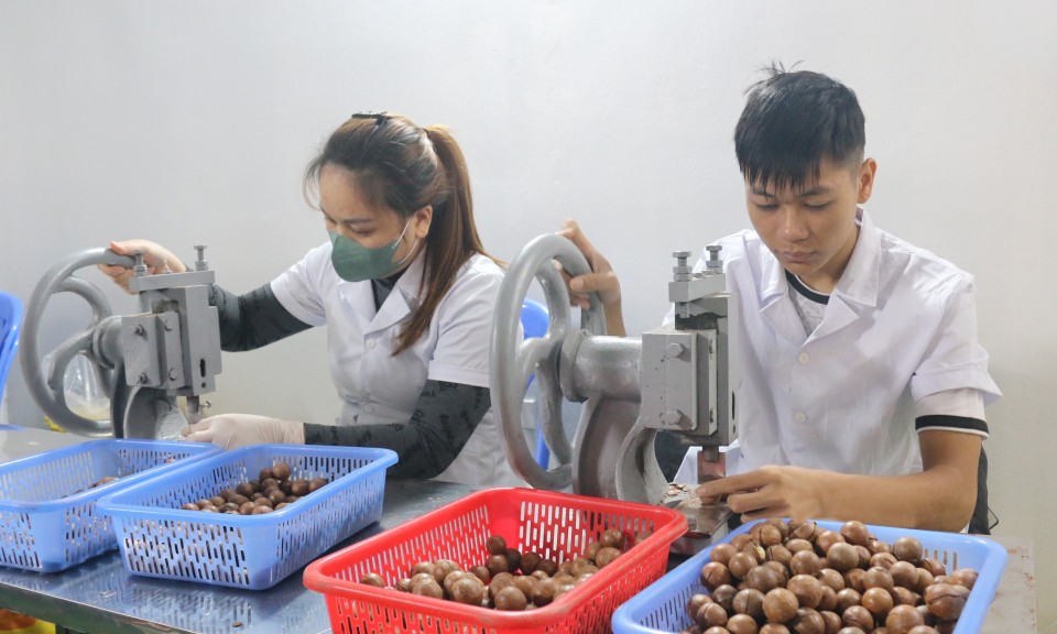 OCOP v&agrave;o vụ tết