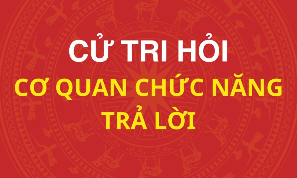 Trả lời cử tri x&atilde; Vũ Lăng v&agrave; x&atilde; Tr&agrave;ng Định
